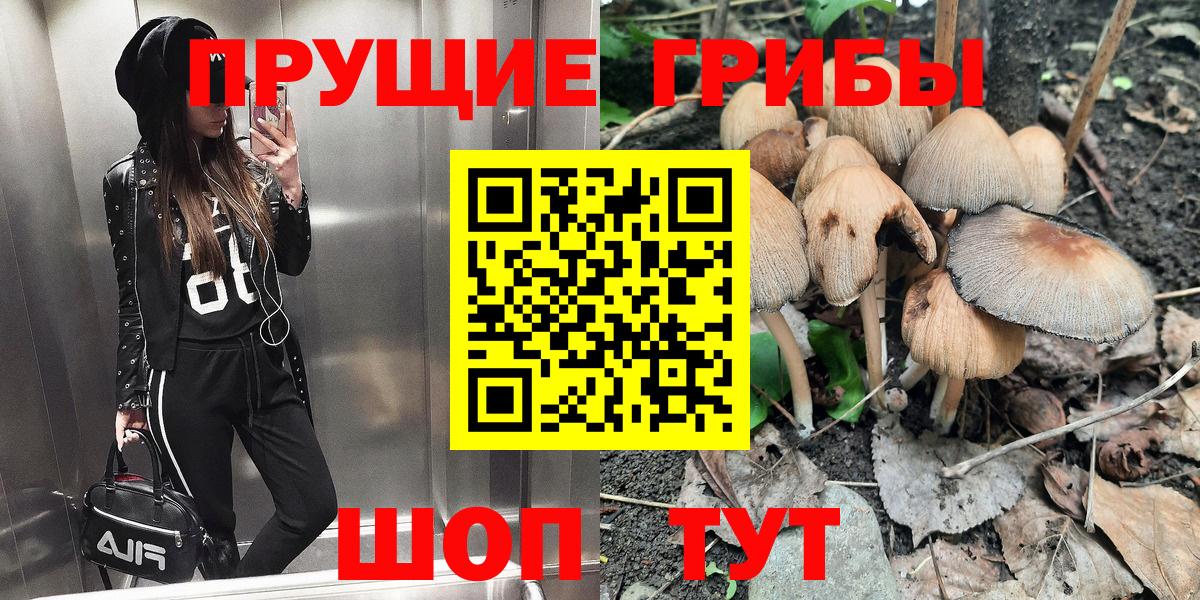 Галлюциногенные грибы мицелий Белгород