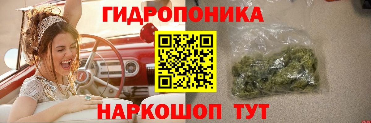 Канабис тримм  Вход с VPN  Бошки марихуана гибрид  Белгород  Канабис Bruce Banner  Каннабис план 
